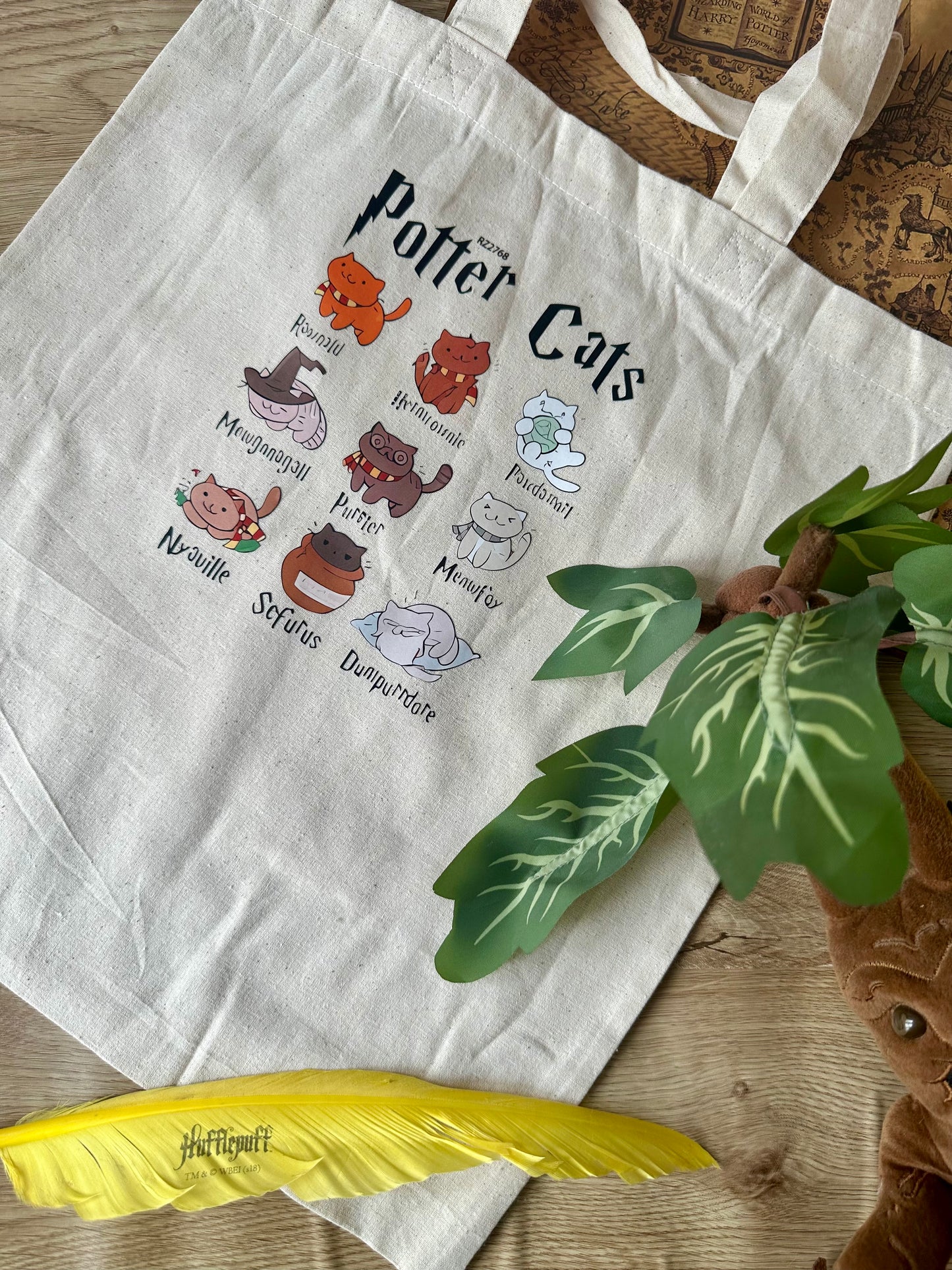 Potter cats - édition ronron magique
